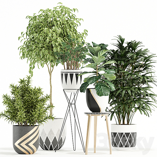 Plants collection 112 3DSMax File - thumbnail 1