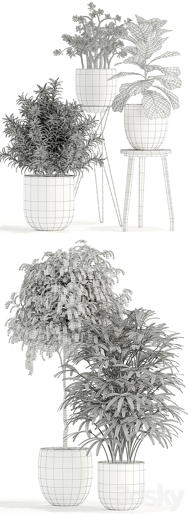 Plants collection 112 3DSMax File - thumbnail 3