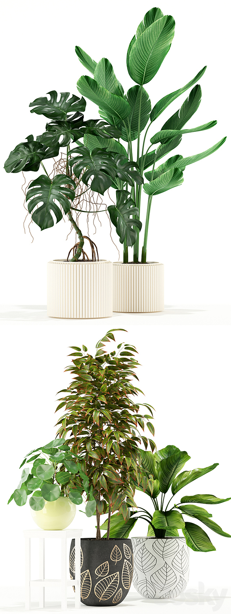 Plants collection 117 3DS Max - thumbnail 2