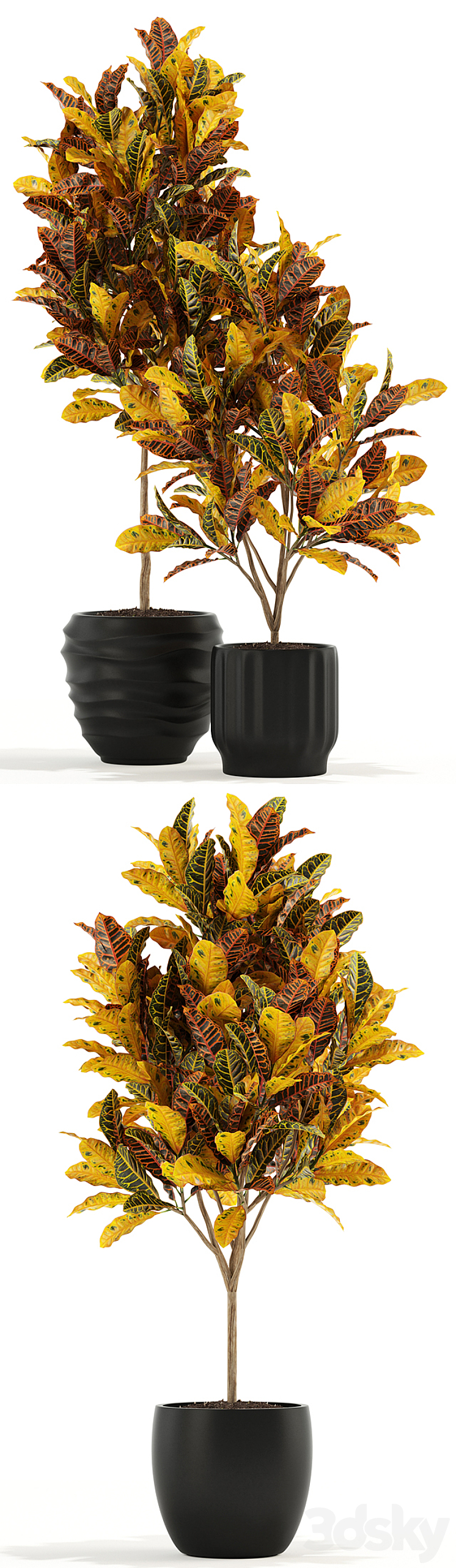 Plants collection 120 3DS Max - thumbnail 2