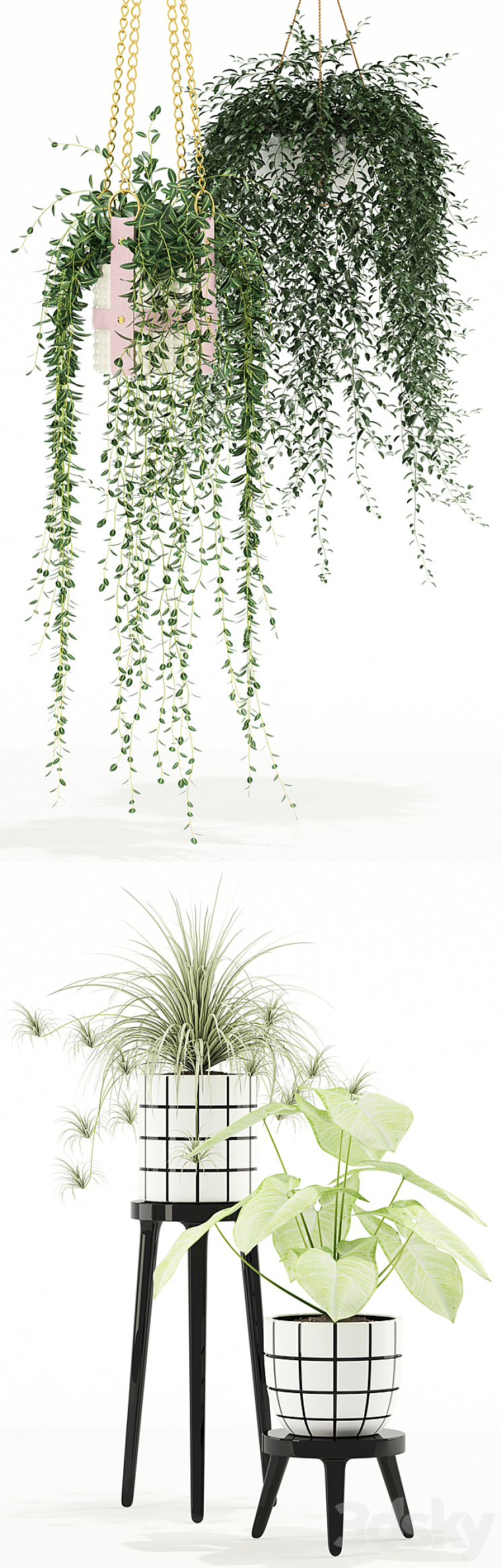 Plants collection 121 3DS Max - thumbnail 2