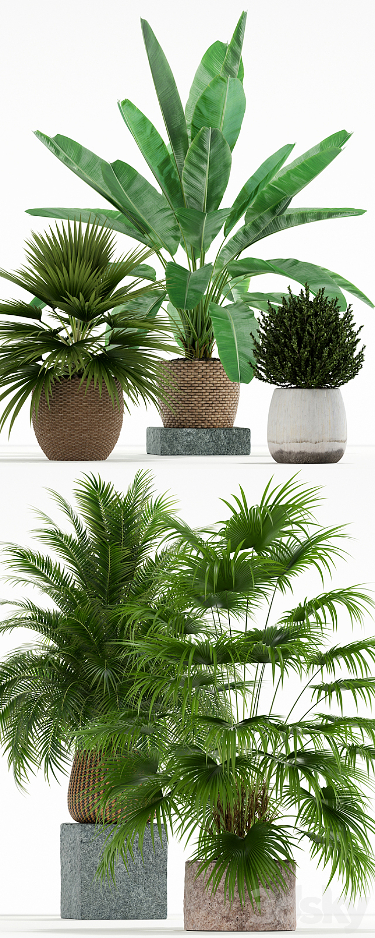 Plants collection 125 3DS Max - thumbnail 2