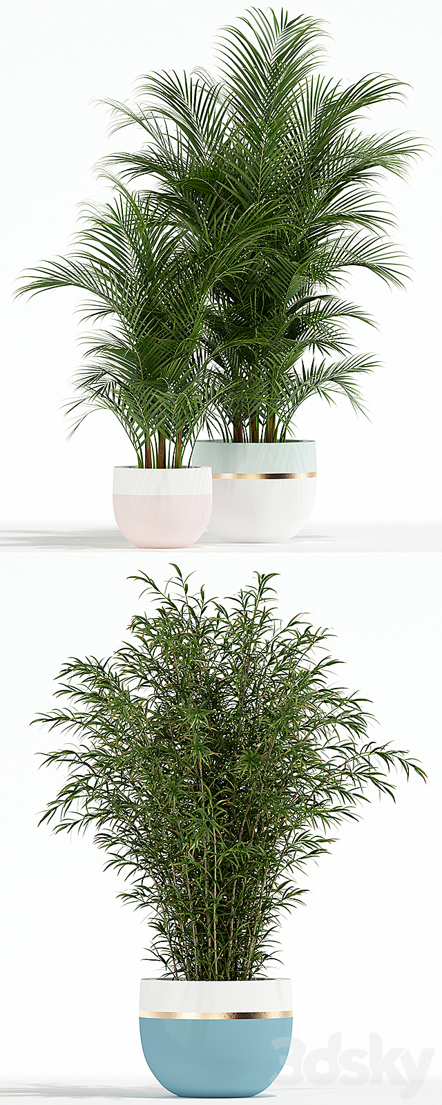 Plants collection 136 3DSMax File - thumbnail 2