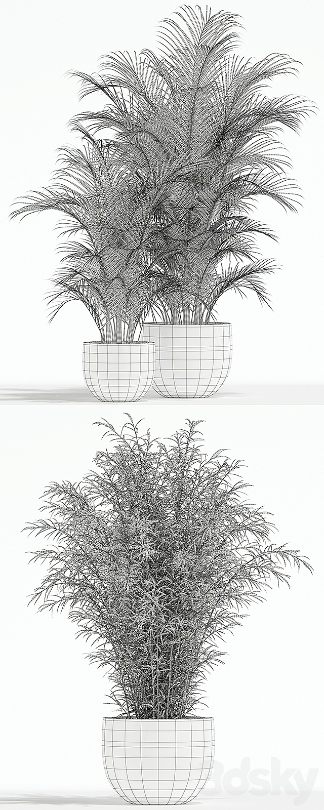 Plants collection 136 3DSMax File - thumbnail 3