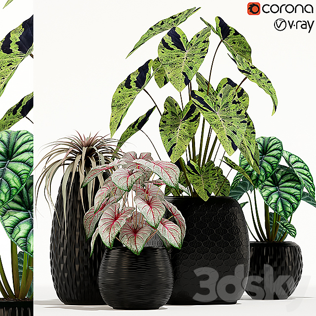 Plants collection 137 3DSMax File - thumbnail 1