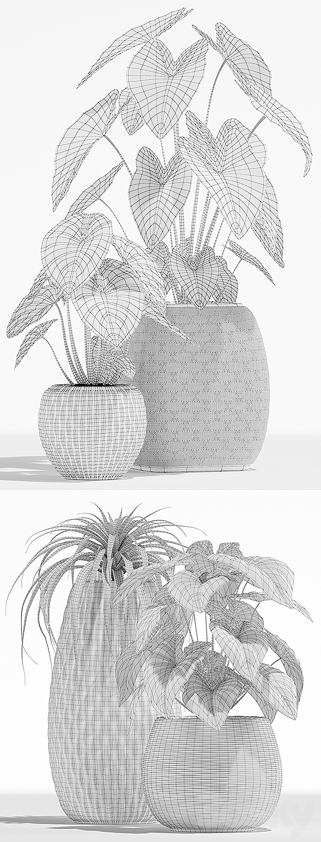 Plants collection 137 3DSMax File - thumbnail 3