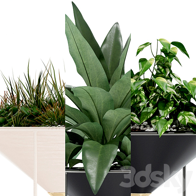 Plants collection 141 Artica 3DSMax File - thumbnail 3