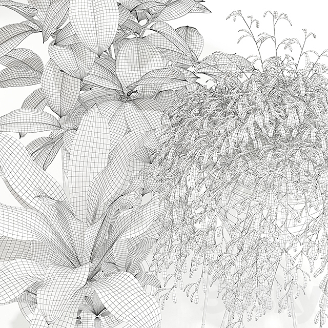 Plants collection 141 MADRE SELVA GRANDE 3DSMax File - thumbnail 3