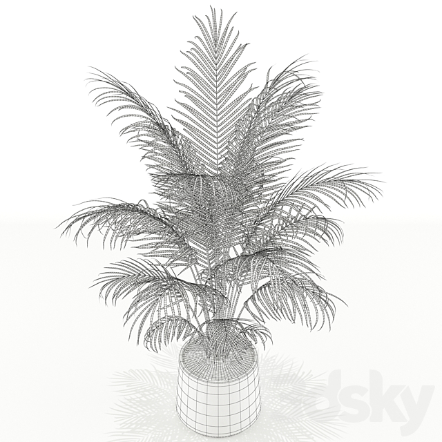 Plants collection 148 3DS Max Model - thumbnail 3