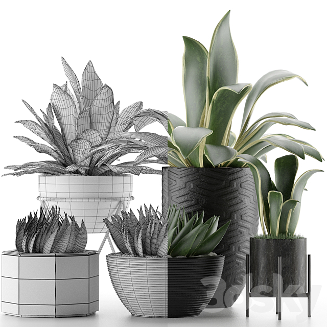 Plants Collection 15 3DS Max Model - thumbnail 3