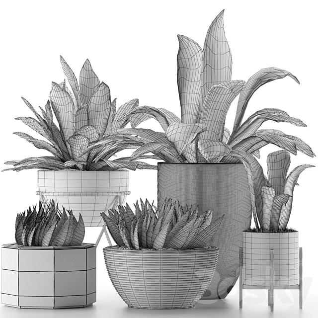 Plants Collection 15 3DS Max Model - thumbnail 4