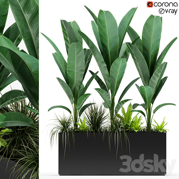 Plants collection 150 3DS Max - thumbnail 1