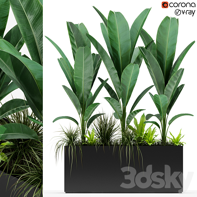 Plants collection 150 3DSMax File - thumbnail 1