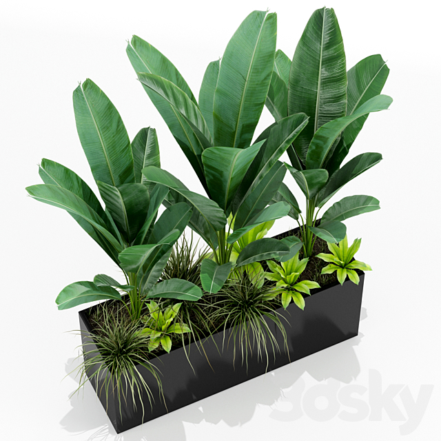 Plants collection 150 3DSMax File - thumbnail 2