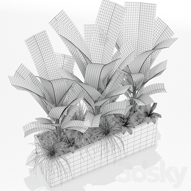 Plants collection 150 3DSMax File - thumbnail 3