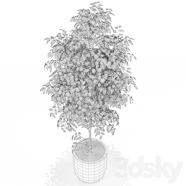 Plants collection 151 3DSMax File - thumbnail 3