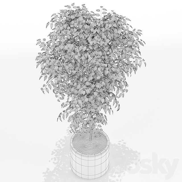 Plants collection 152 3DS Max Model - thumbnail 3