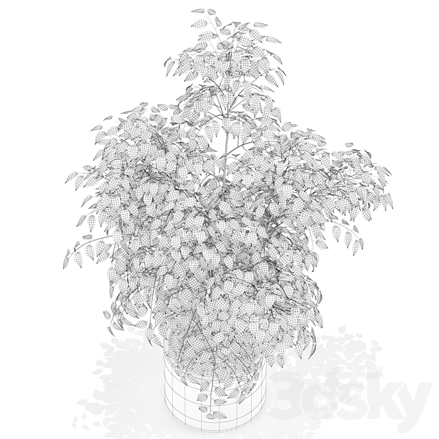 Plants collection 153 3DS Max Model - thumbnail 3