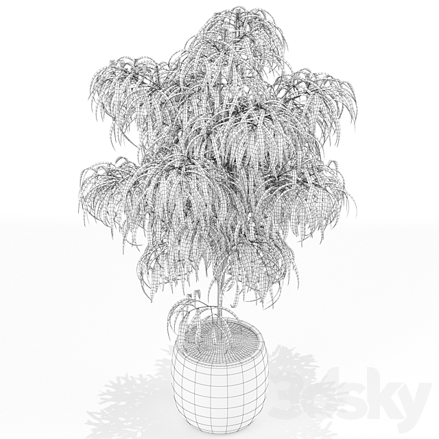 Plants collection 154 3DS Max Model - thumbnail 3