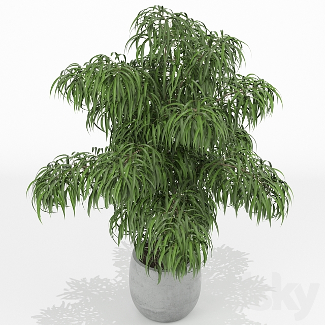 Plants collection 156 3DS Max Model - thumbnail 2