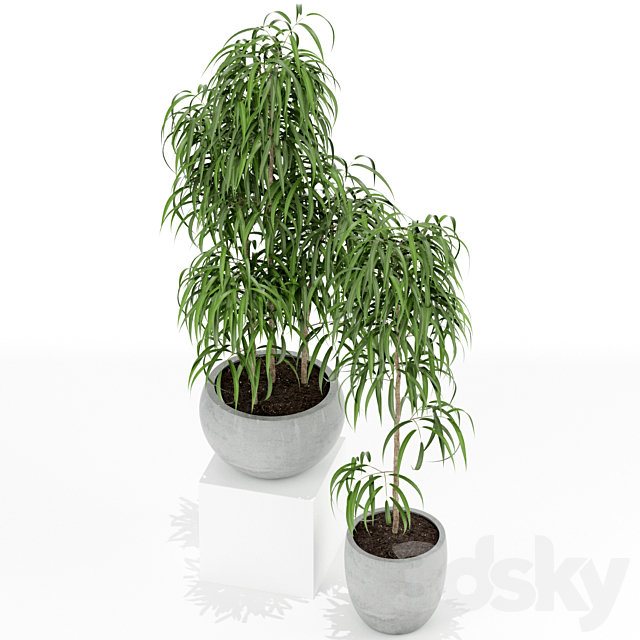 Plants collection 157 3ds Max - thumbnail 2