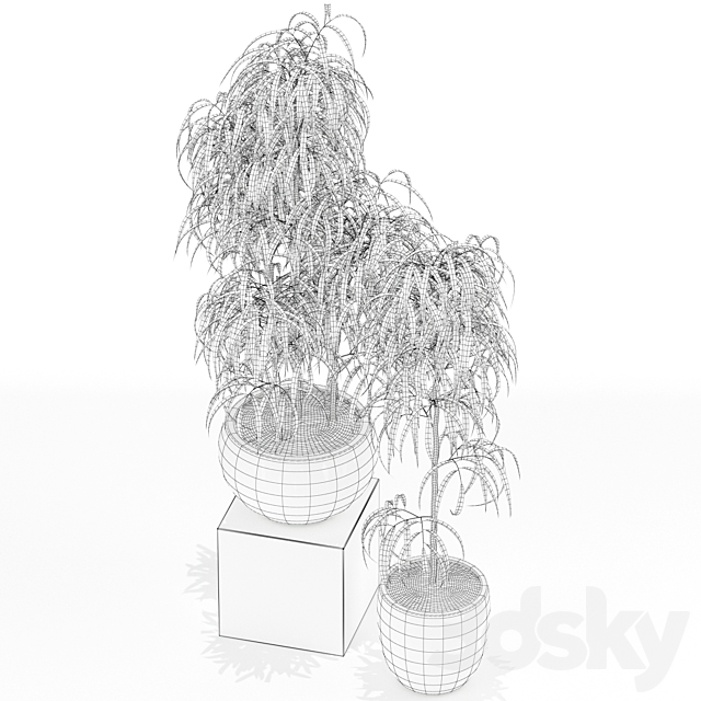 Plants collection 157 3ds Max - thumbnail 3