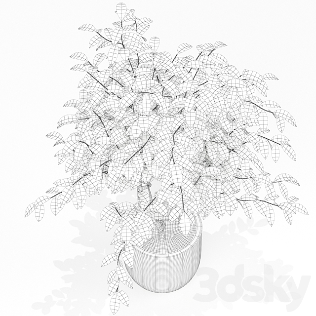 Plants collection 163 3DS Max Model - thumbnail 3