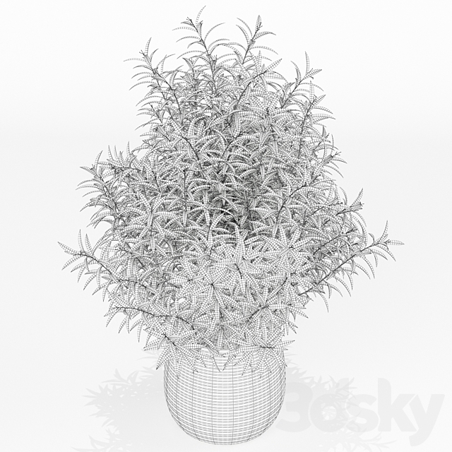 Plants collection 167 3DS Max Model - thumbnail 3