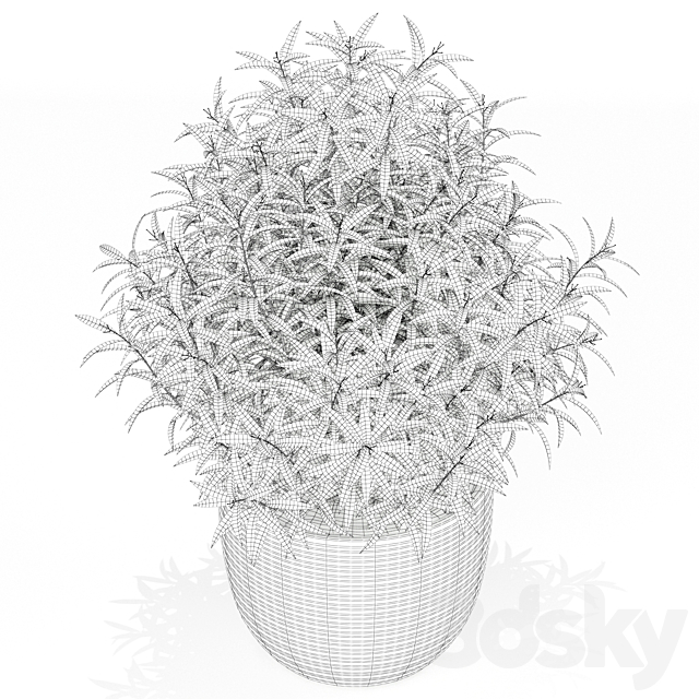 Plants collection 168 3DS Max Model - thumbnail 3