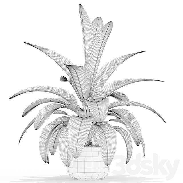 Plants collection 173 3ds Max - thumbnail 3