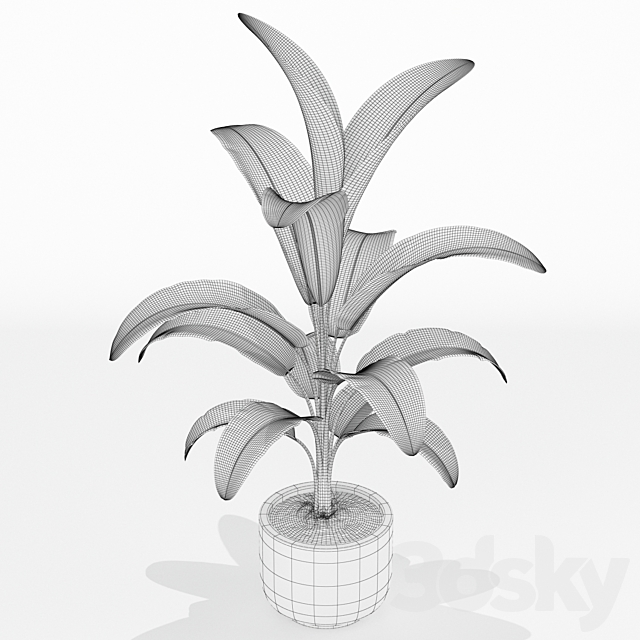 Plants collection 174 3ds Max - thumbnail 3