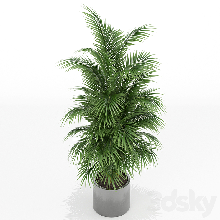 Plants collection 176 3DS Max - thumbnail 2