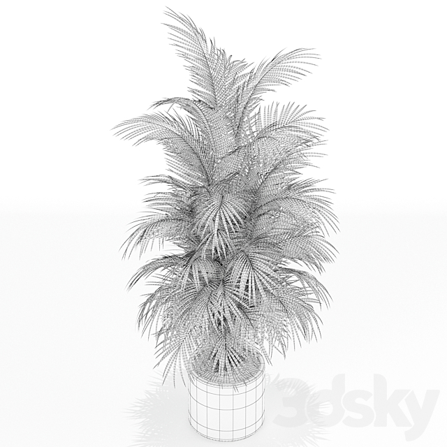 Plants collection 176 3DSMax File - thumbnail 3