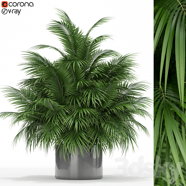 Plants collection 177 3ds Max - thumbnail 1