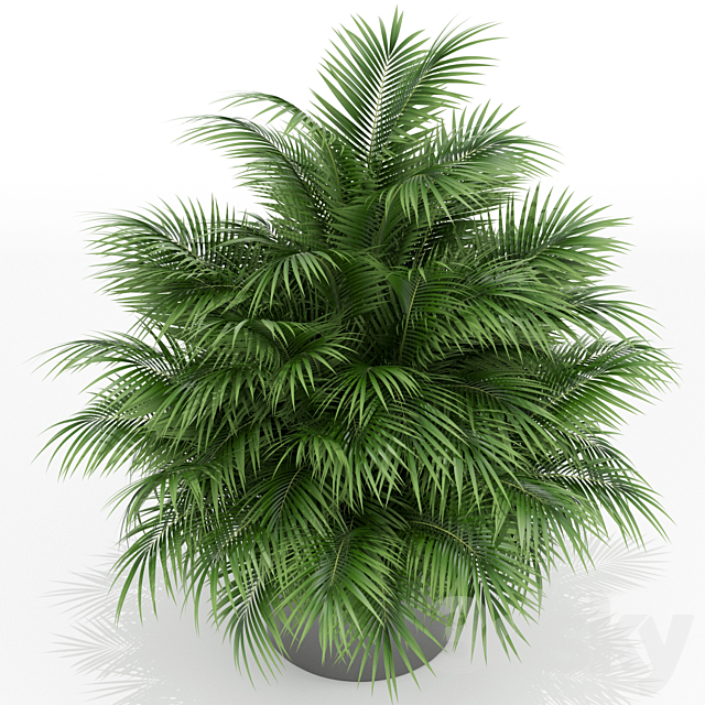 Plants collection 177 3ds Max - thumbnail 2