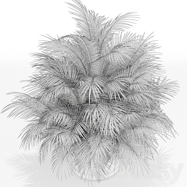 Plants collection 177 3ds Max - thumbnail 3