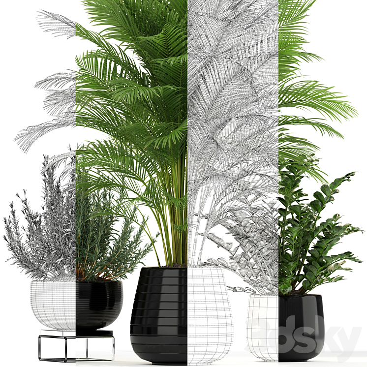 Plants collection 180 3DS Max - thumbnail 2