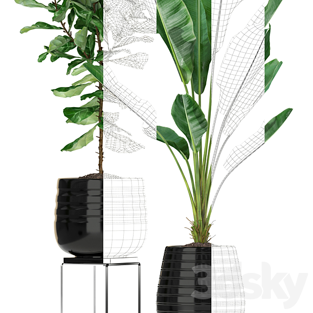 Plants collection 180 3DSMax File - thumbnail 3