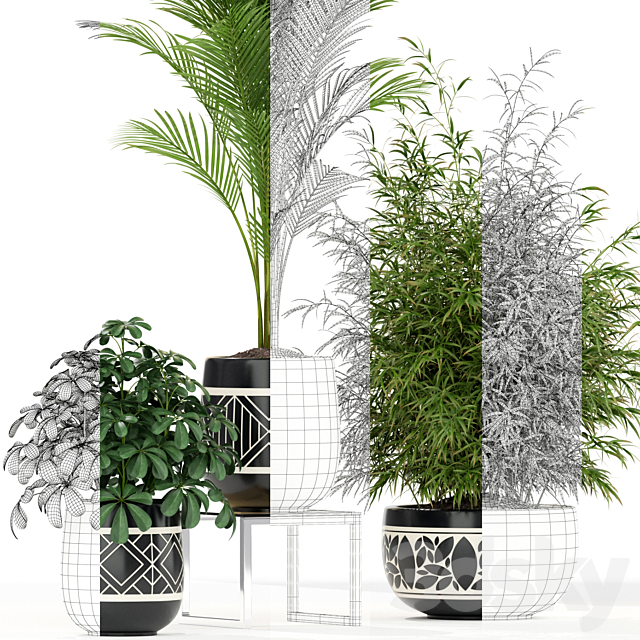 Plants collection 181 3DSMax File - thumbnail 2