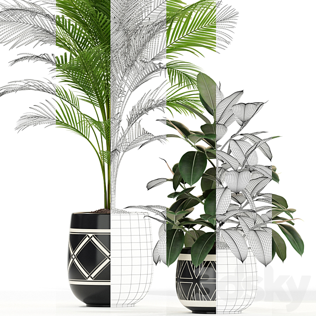 Plants collection 181 3DSMax File - thumbnail 3