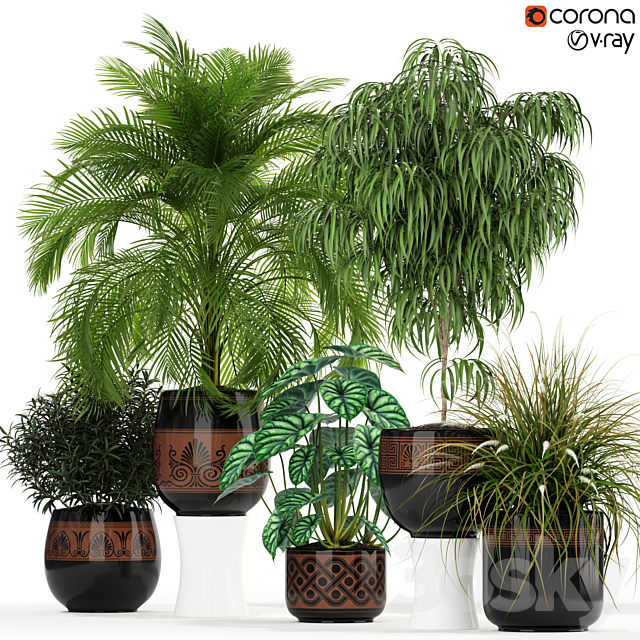 Plants collection 182 3DSMax File - thumbnail 1