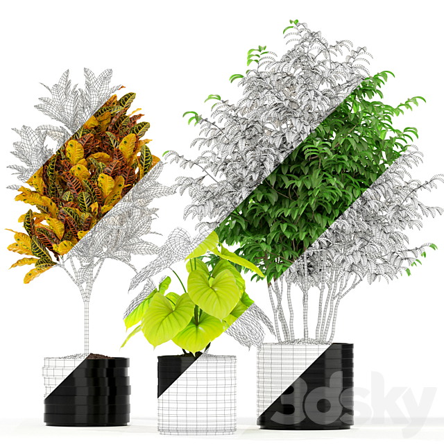 Plants collection 183 3DSMax File - thumbnail 2