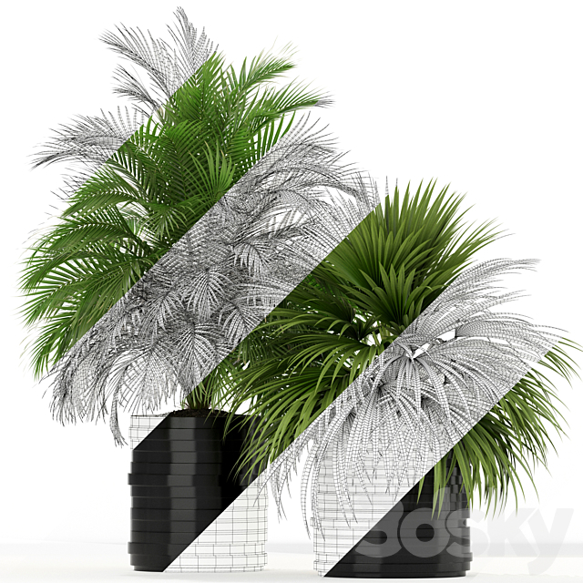 Plants collection 183 3DSMax File - thumbnail 3