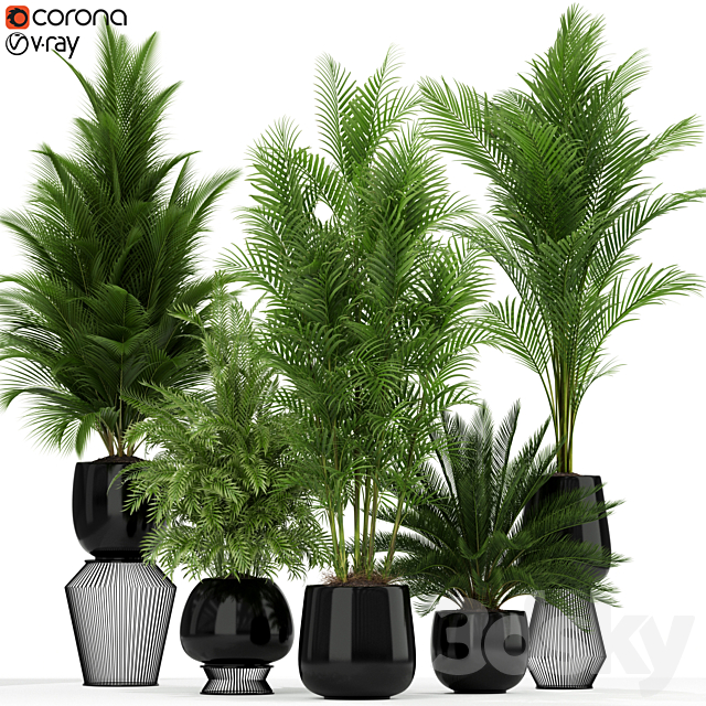 Plants collection 184 3ds Max - thumbnail 1