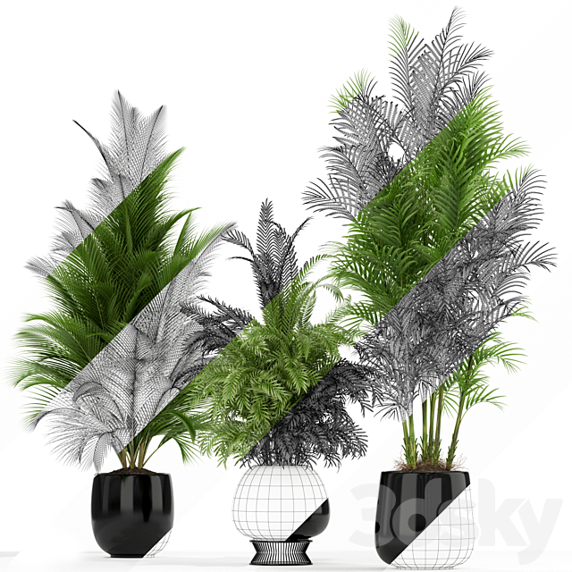 Plants collection 184 3ds Max - thumbnail 2