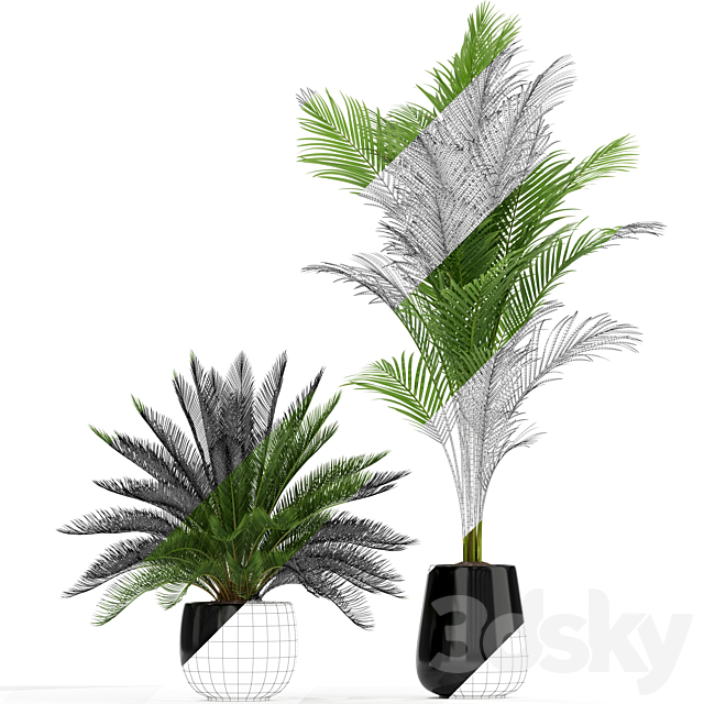 Plants collection 184 3ds Max - thumbnail 3