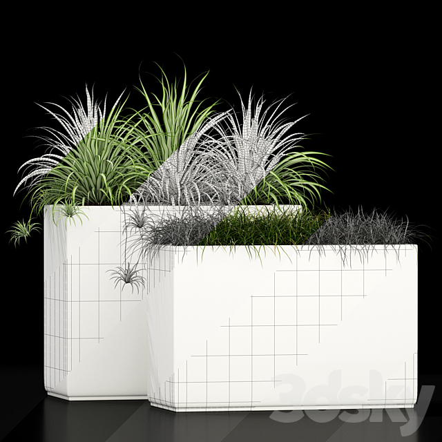 Plants collection 186 3ds Max - thumbnail 3