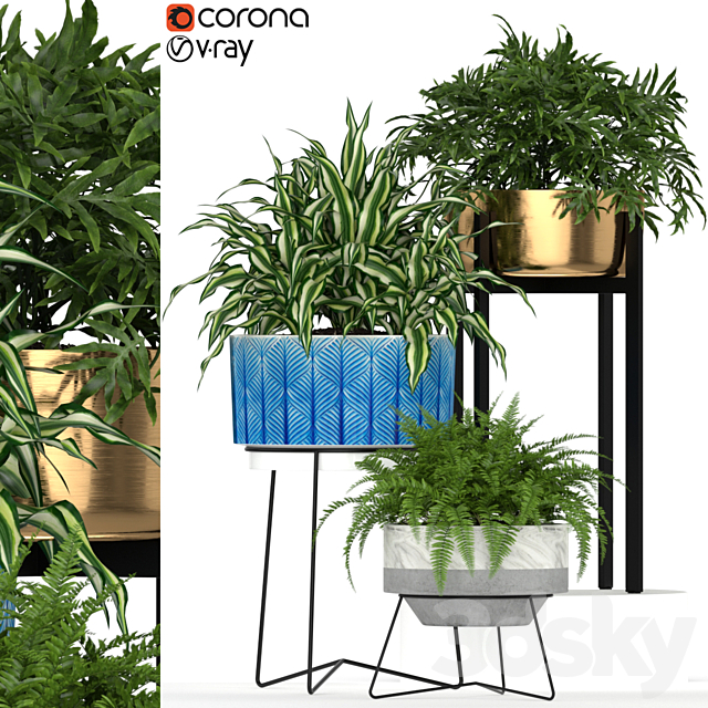 Plants collection 191 3ds Max - thumbnail 1