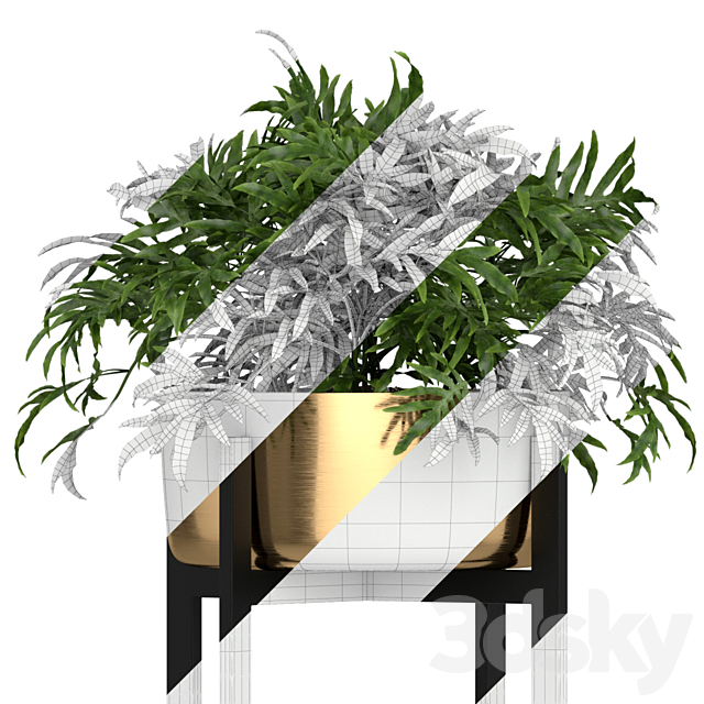 Plants collection 191 3ds Max - thumbnail 2