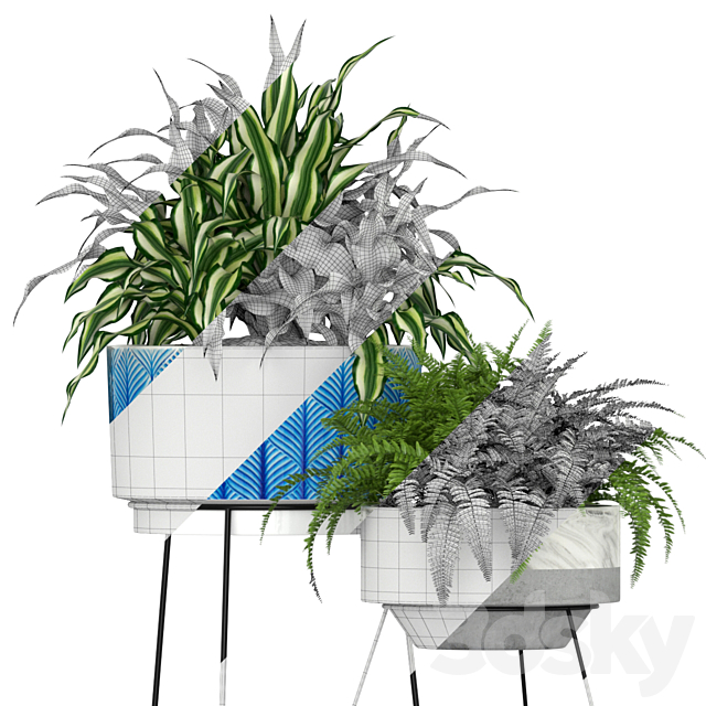 Plants collection 191 3ds Max - thumbnail 3